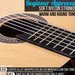 Acoustic Guitar Kit, Beginner 3/4 Size, All Wood, 36