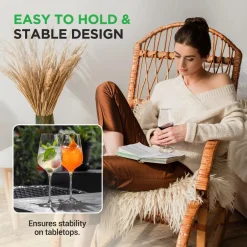 Crystal Wine Glasses - Elegant Design, Lead-Free Crystal, Dishwasher Safe<NutriChef Sale