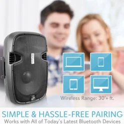 Portable Bluetooth PA Speaker, 1000W, Rechargeable, 12