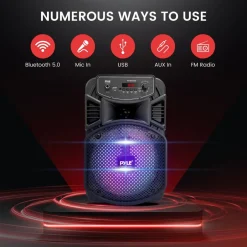 Portable Bluetooth PA Speaker 300W Rechargeable 8