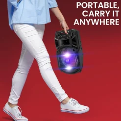 Portable Bluetooth PA Speaker 300W Rechargeable 8