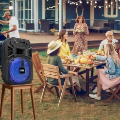 Portable Bluetooth PA Speaker 300W Rechargeable 8