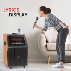 Portable Karaoke Machine, 18.5